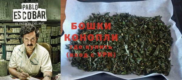 PSILOCYBIN Аркадак