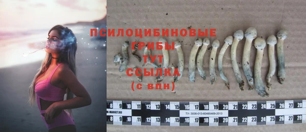 PSILOCYBIN Аркадак