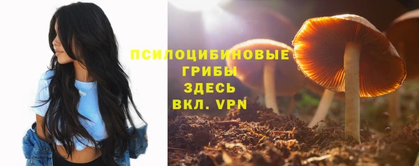 PSILOCYBIN Аркадак